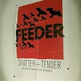 Shatter / Tender [DVD] [DVD AUDIO]