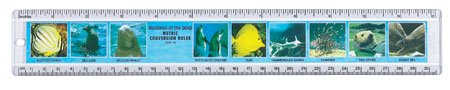 31S8ZKRPN4L MYSTERIES OF THE DEEP EDUCATIONAL RULER by Safari, Ltd.