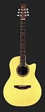 Acoustic Bass Guitars
