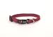 3/4" Soy Collar CRN Cranbery