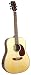 JOHNSON HERRINGBONE DREADNAUGHT ACOUSTIC GUITAR