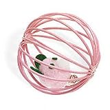 Paw Pals Cage Ball Cat Toy