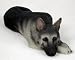 German Shepherd Figurine - MyDog (Black/Silver)