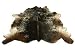 Hair-On Leather Full Cowhide/skin Rug/carpet With 3d Designs