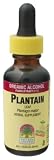 Nature's Answer - Plantain Leaf, 1 fl oz liquid