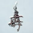 Small Asian LONG LIFE Symbol Pendant or Charm in Sterling Silver, #11435