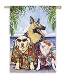 Outdoor Living : Beach Boys Regular Flag