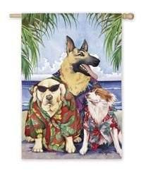 Beach Boys Regular Flag