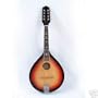 High Gloss Mandolin