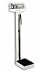 Detecto Balance Beam Scale 439