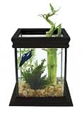 CUR BETTACUBE BLACK KIT