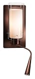 Access Lighting 70004LED-BS/CLOP LEDDuo Gooseneck Wall Lamp, Brushed Steel Finish with Clear Outer/Opal Inner Glass Shade