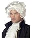 Colonial Man Wig (White;One Size)