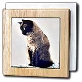 Cats - Siamese Cat - Tile Napkin Holders