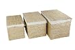 Image of Set of 3 Avebury Trunks