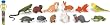 Safari Ltd Pets Toob
