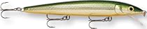 Rapala Husky Jerk 10 Fishing Lures