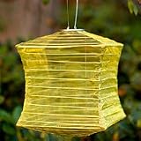 Outdoor Solar Lantern - Bronze Colored Square