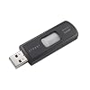 SanDisk 2 GB Cruzer Micro ( SDCZ6-2048-A10, Retail Package)