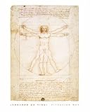 LEONARDO DAVINCI S VITRUVIAN MAN MINI POSTER