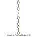 Progress Lighting P8757-77 10 Feet Of 9 Gauge Chain Permits Installation Of Chain-Hung Fixtures On High Ceilings with Maximum Fixture Weight Of 50 Pounds, Forged Bronze