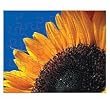 Custom Puzzle 8"x10" 30 Piece Created From Your Favorite Photo