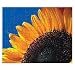 Custom Puzzle 8"x10" 30 Piece Created From Your Favorite Photo