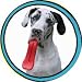 Pet Supplies : Humunga Tongue Large for MED/ LARGE/XLARGE DOGS (over 40)