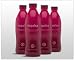 Sonoran Bloom 4-Pack Nopalea