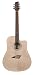 Kona Acoustic Dreadnought Guitar Beginner's Pack