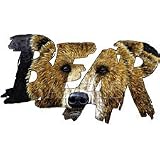 Bear Adult Sweatshirt