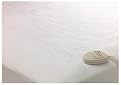 RestWarmer Heated Mattress Pad