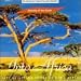 Sounds of Earth: Into Africa