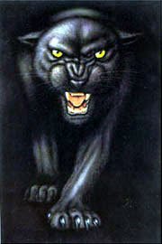 31SCTDAM6FL Panther Animals Poster Print, 24x36
