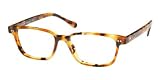 Polo Ralph Lauren - Authentic POLO RALPH LAUREN PH 2017 Color: 503 1 POLO RALPH LAUREN Sunglasses 2017Size: 5031