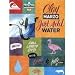Sporting Goods : Quiksilver Prersents: CLAY MARZO - JUST ADD WATER Surfing DVD Film
