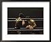 Boxers Seen from Between the Ropes Framed Art Poster Print, 22x18
