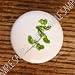 HERBS MARJORAM SPICE KITCHEN DRAWER PULLS KNOBS