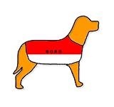 Middlesbrough Personalised Waterproof Dog Coat Size XS (10 25cm)