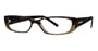 Calvin Klein 697 eyeglasses Tortoise Honey 53-15-135