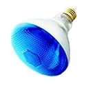 Incandescent Flood Light Bulb, BR38, 100 Watt, Outdoor, Blue