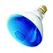 Havells-SLI 03041 - 100BR38/BLUE - Blue 100 Watt BR38 Outdoor Flood Light Bulb