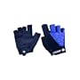 Descente 2009 Men's Signature Cycling Gloves - Marine - 70009mr (S)