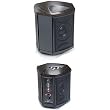 MartinLogan Depth i High-Performance Triple 8-Inch Servo-Control Subwoofer (Single, Black Ash)