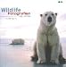 cover of Wildlife Fotografien des Jahres, Portfolio.10, 2000