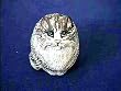 Silver Tabby Persian Cat Collectible Resin Figure