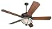 Craftmade PX52OI 52-Inch Phoenix Fan with B552S-WB6 Custom Walnut Blade Set, Old Iron