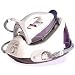 Tefal Pro Express GV8120 Steam Generator, Purple and White, Lock System, 2200 Watts