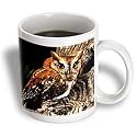 Birds - Owl - Mugs