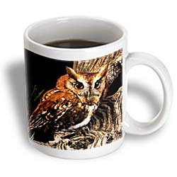 Owl - 11oz Mug